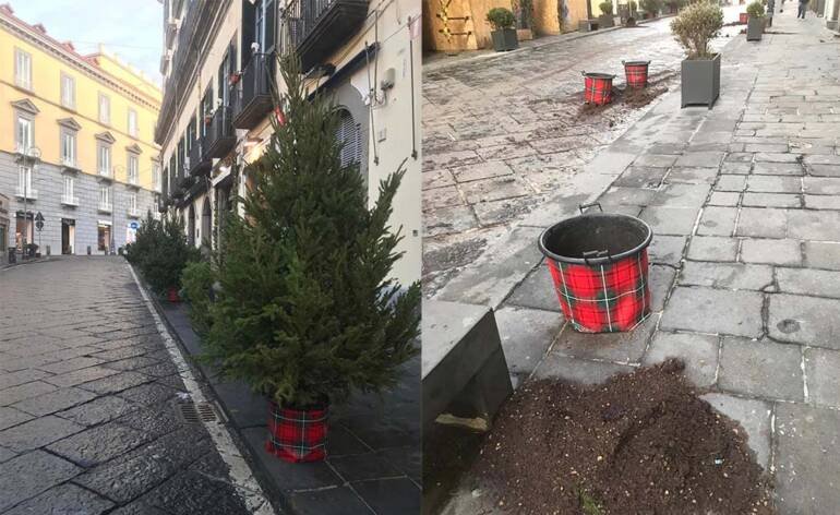 Napoli, subito rubati i 20 alberi di natale dei commercianti di via Calabritto