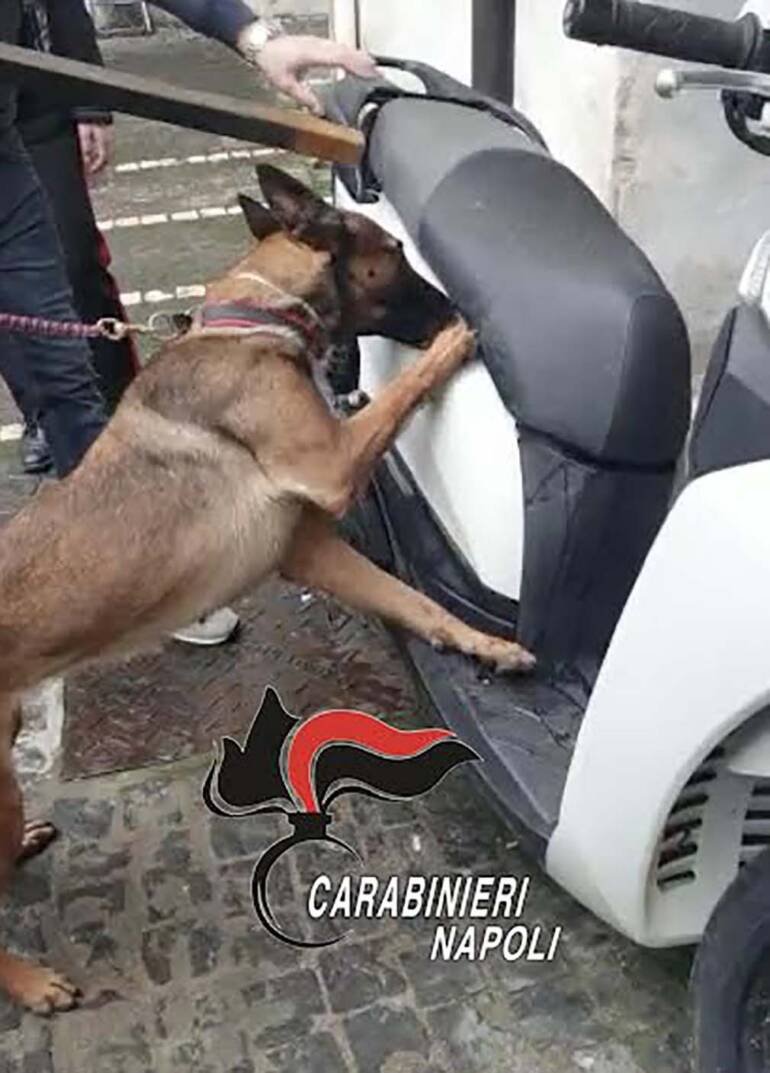 Marano pusher incastrato dal fiuto del cane anti droga