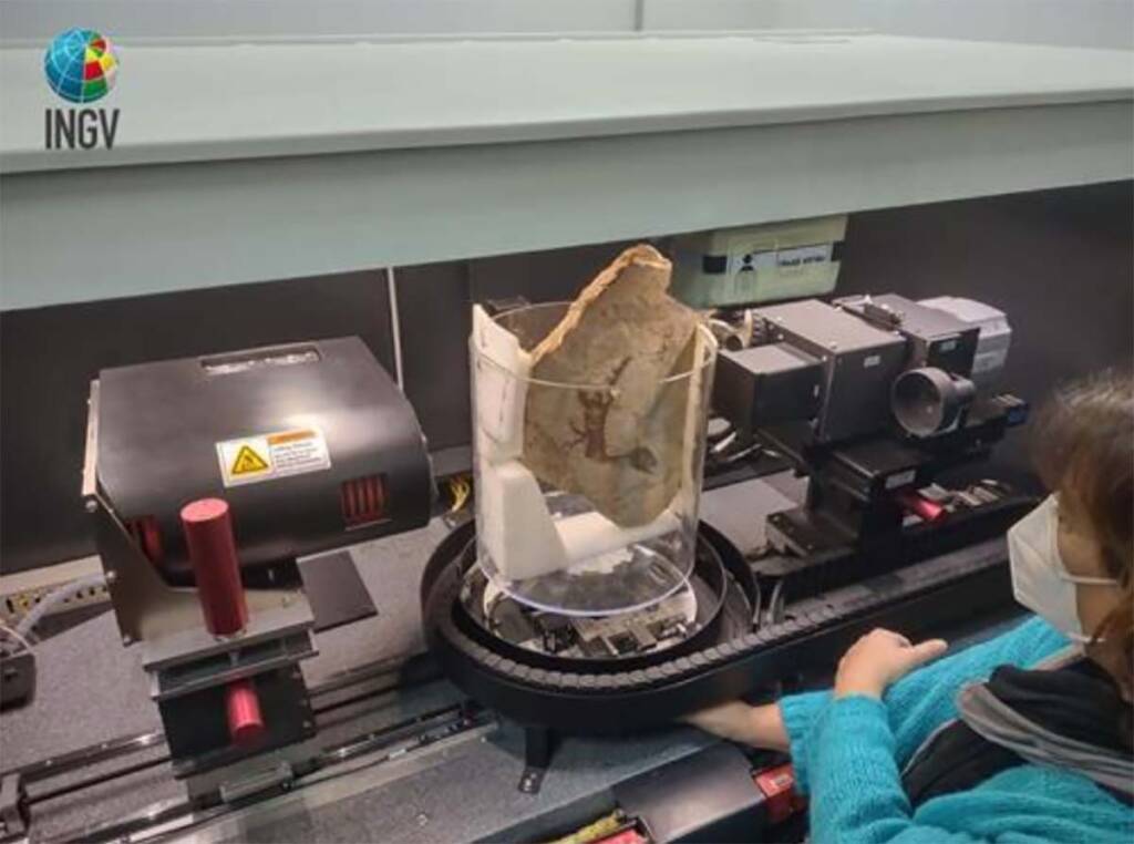 Ricostruiti in 3D organi di Ciro, primo dinosauro italiano