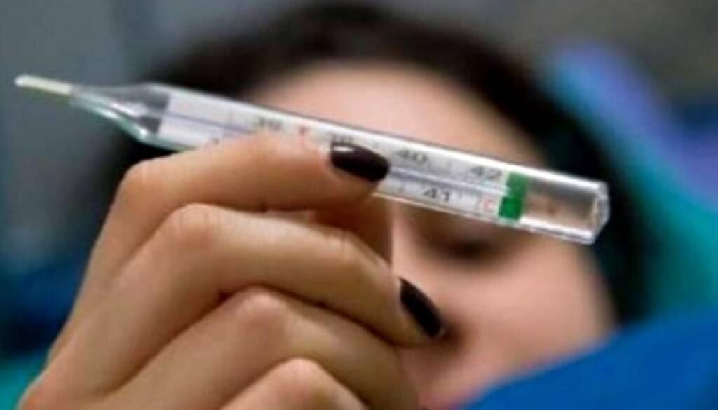 Influenza australiana, contagiati quasi 4,5 mln di italiani: “Anticipo del picco”