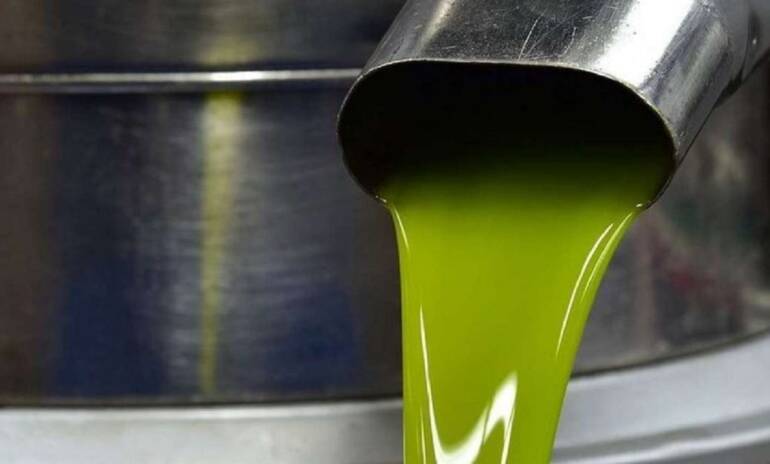 San Giorgio a Cremano, da terreno confiscato all’olio della legalità: nasce “Vesevo”, il primo extravergine di Terra Felix