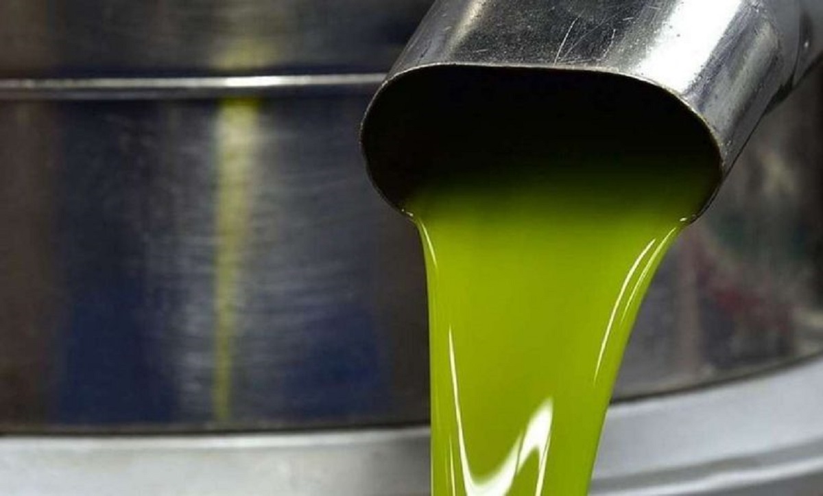 Raid nel frantoio a Teano: rubati quintali di olio di oliva