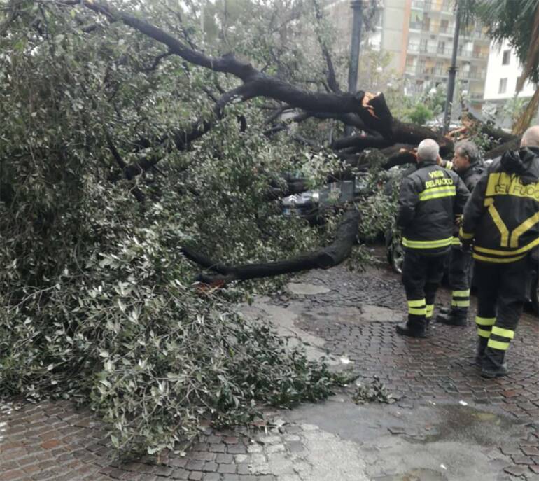 Maltempo,195 interventi vigili del fuoco in Campania