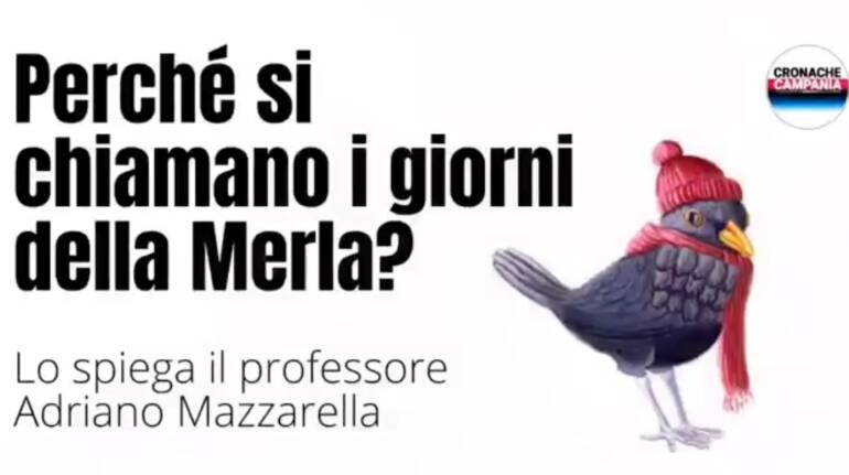 Perché si chiamano i giorni della Merla. Il video