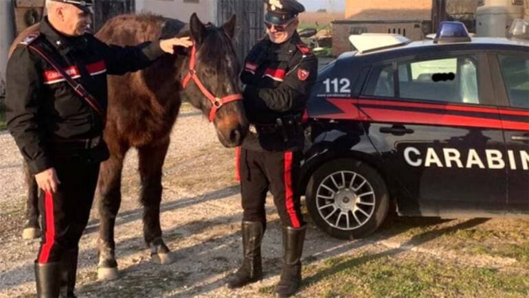 doping ippodromo aversa