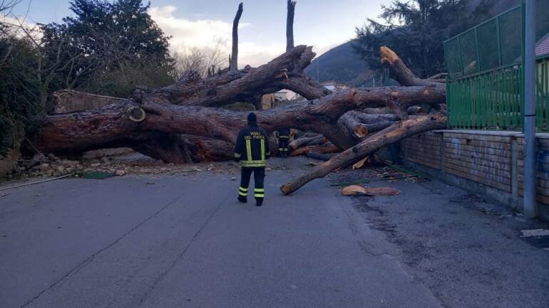 A Roccapiemonte vento abbatte albero, scuola chiusa 