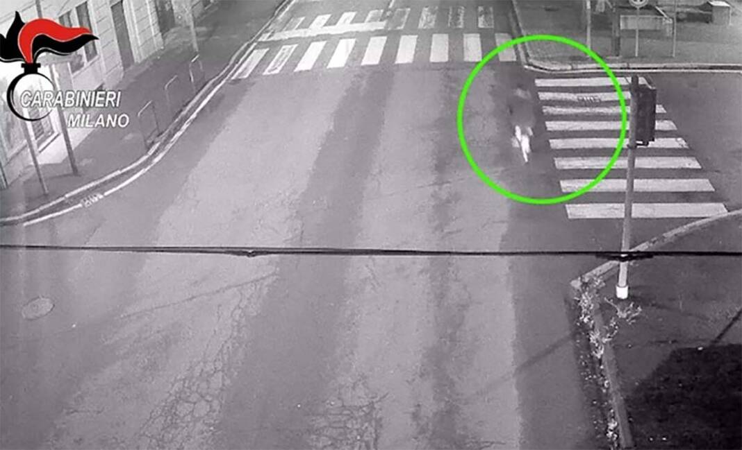 commessa violentata, supermercato