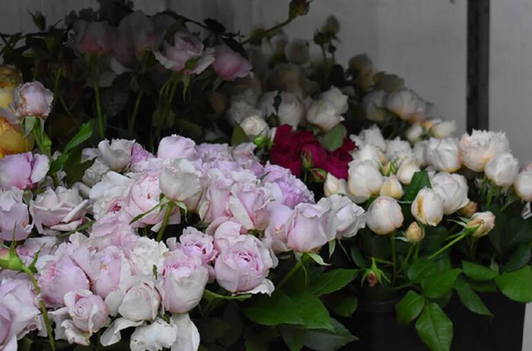 San Valentino, Coldiretti: “Fiori per 2,5 miliardi di euro”