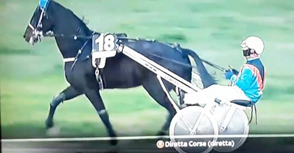 Agnano, cavallo muore durante la corsa. Il video