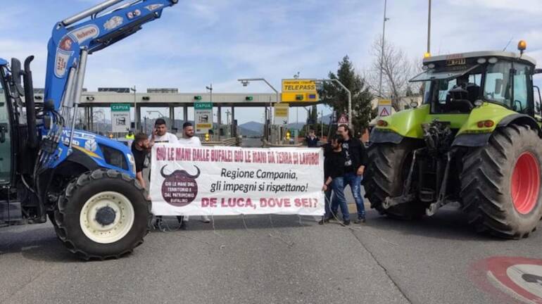 Campania, gli allevatori hanno deciso: stato di agitazione da oggi senza escludere alcuna iniziativa