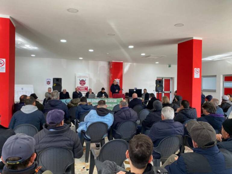 Caserta, gli allevatori bufalini rimuovono presidio dopo summit al Ministero