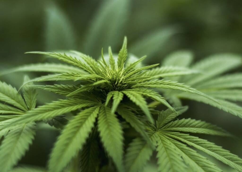 Cava de’ Tirreni, 39enne arrestato con oltre 4 chili di cannabis nascosta in auto