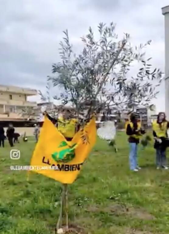 La Doria pianta mille alberi a Sant’Antonio Abate