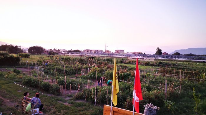 Scafati, raid al fondo Nappo. La solidarietà dei parlamentari Costa e Bilotti (M5S)