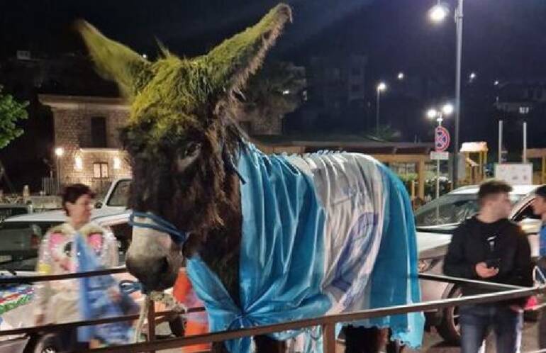 Denunciati i tifosi che hanno fatto sfilare un asino per la festa scudetto del Napoli