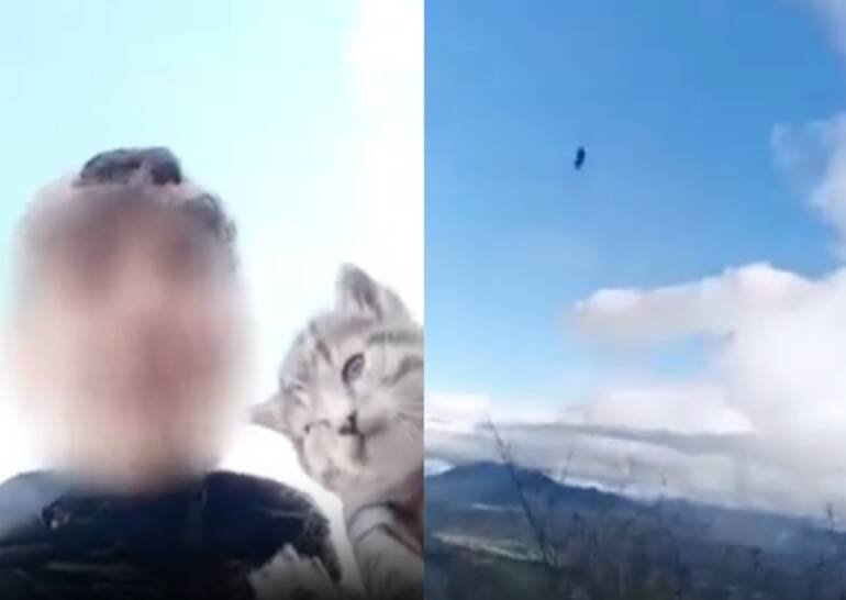 Getta un gatto da un dirupo per divertimento e si filma