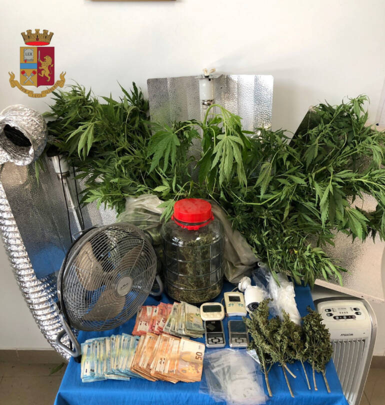 Pianura: scoperta una serra di marijuana. Arrestato un uomo