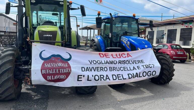 Malore per il portavoce degli allevatori bufalini  durante la protesta
