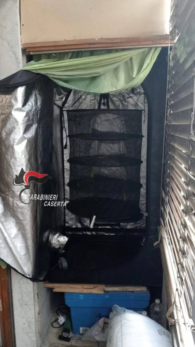 Sant’Arpino, 28enne tradito dall’odore di marijuana: arrestato