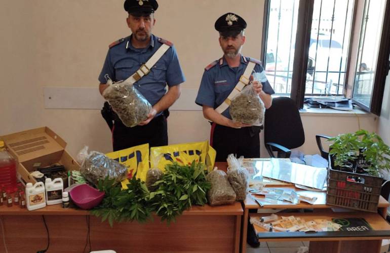 Caserta, realizzano piantagione di marijuana, arrestati padre e figlio