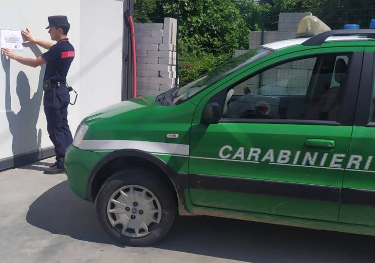 Nola, i carabinieri trovano cannabis illegale nel negozio: denunciato