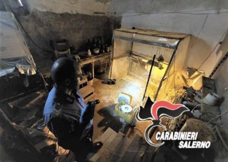 salerno serre marijuana arrestato