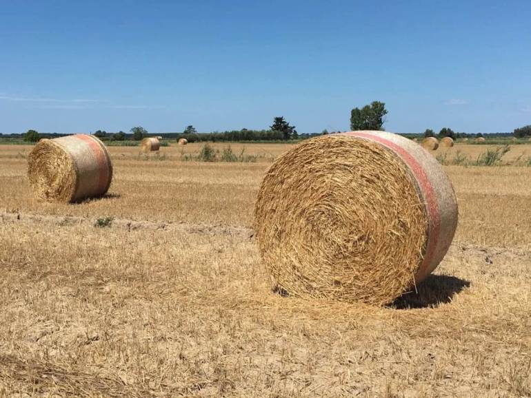 Cilento, 70enne muore schiacciato dalla balla di fieno
