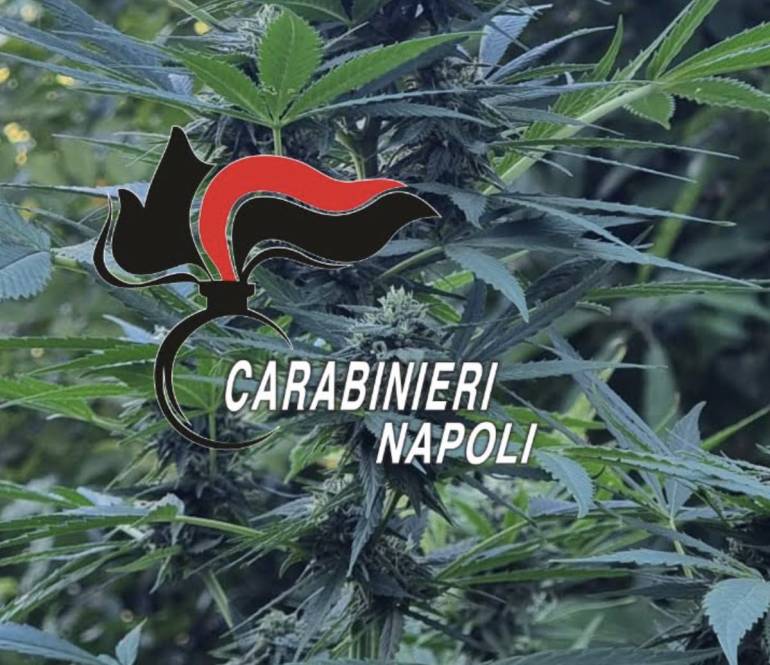 droga monti lattari