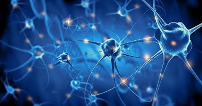 Malattie neurologiche disimmuni. SNO: grazie a marcartori sierologici passi in avanti su diagnosi