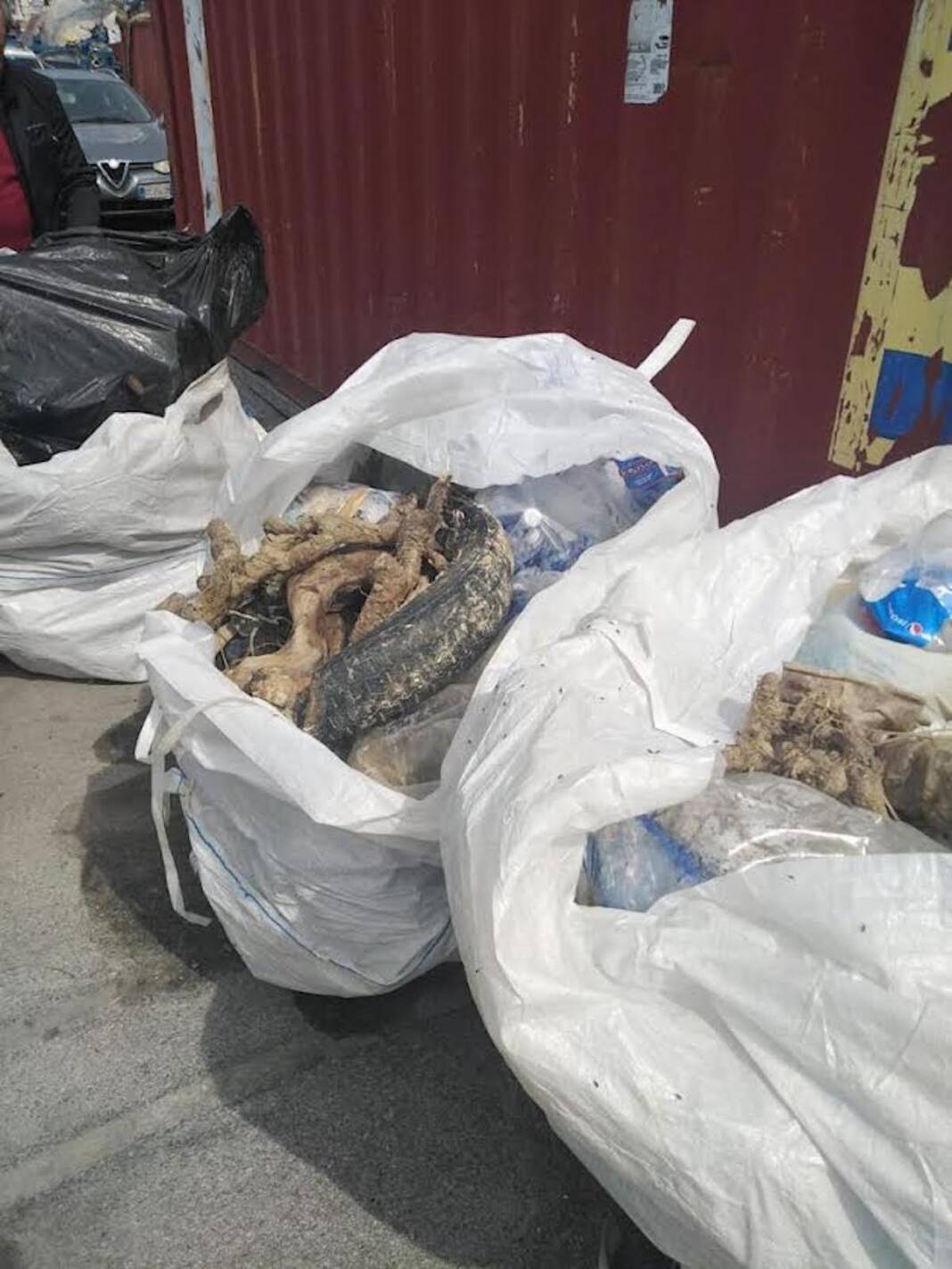 Nel Golfo di Salerno raccolte oltre 10 tonnellate di rifiuti