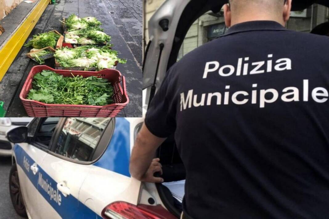 Arzano, sequestrato negozio di rivendita abusiva di frutta e ortaggi: denunciato un uomo