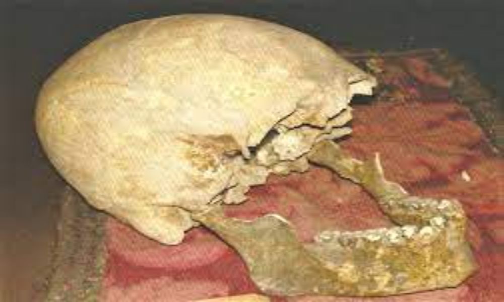 Il presunto cranio di Plinio il Vecchio in esposizione a Napoli