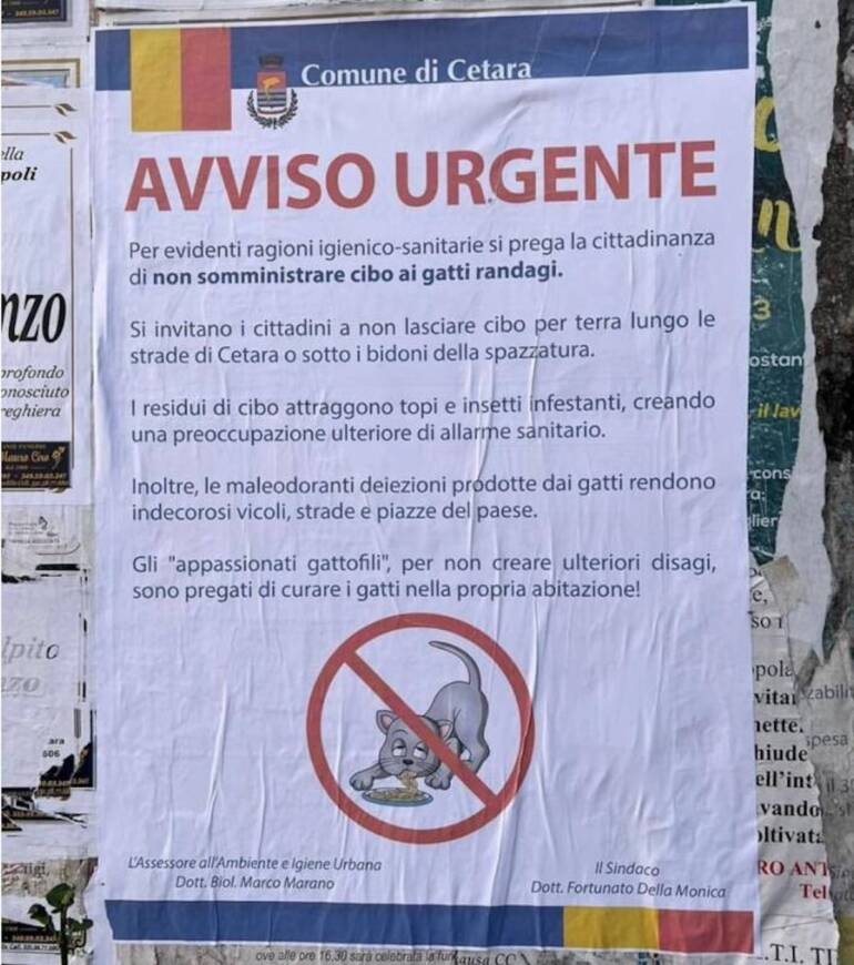 Il sindaco di Cetara affigge manifesti che invitano a non sfamare i gatti randagi