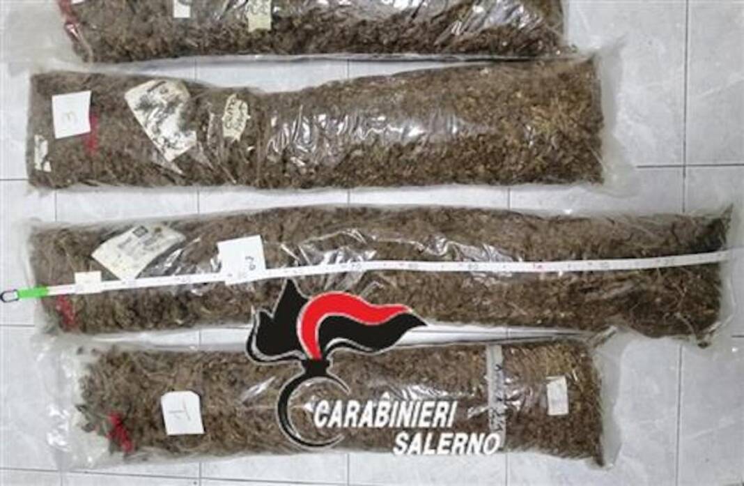 Salerno, 7.7 kg di marijuana in casa: arrestata coppia ultra 60enne