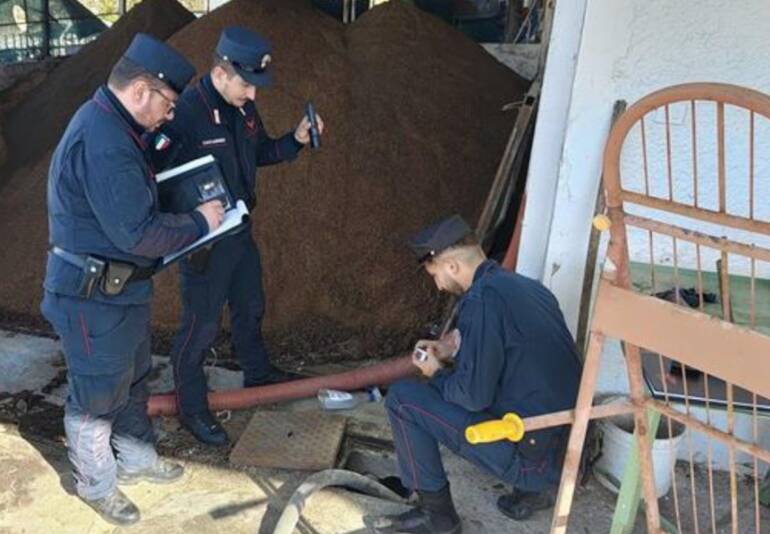 Caserta, scoperti smaltimenti illeciti in un frantoio