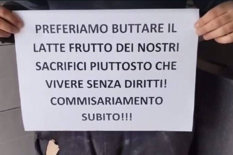Brucellosi: allevatori gettano latte, “governo intervenga”