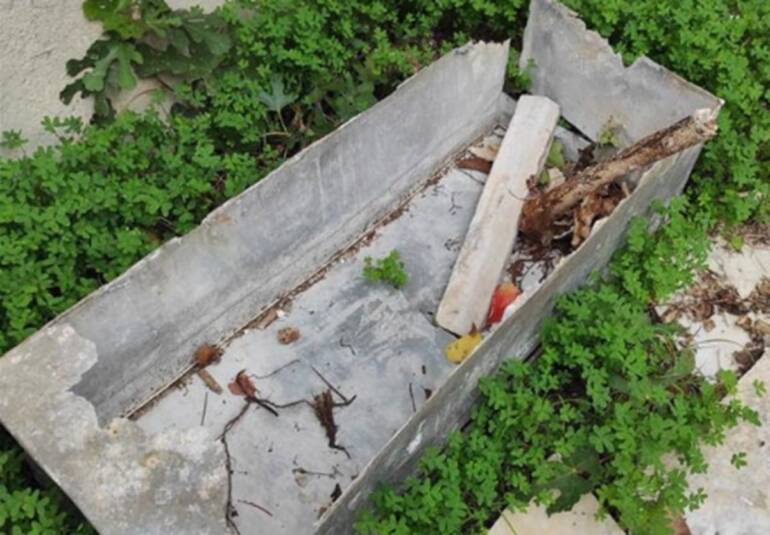 Al Cimitero di Poggioreale resti mortali esposti e loculi prigionieri della vegetazione selvaggia