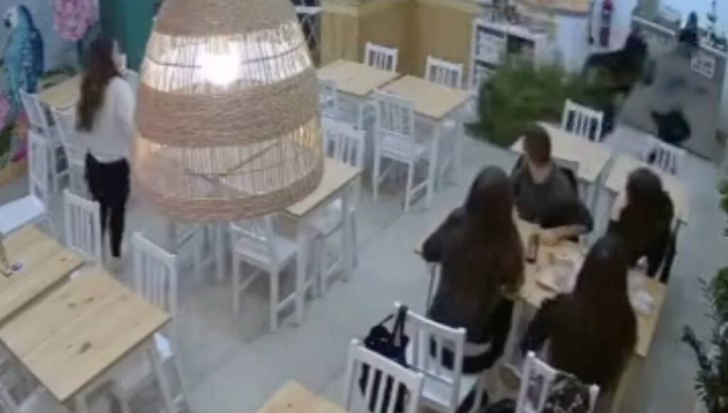 Napoli, baby gang ruba albero di Natale dal pub davanti ai clienti