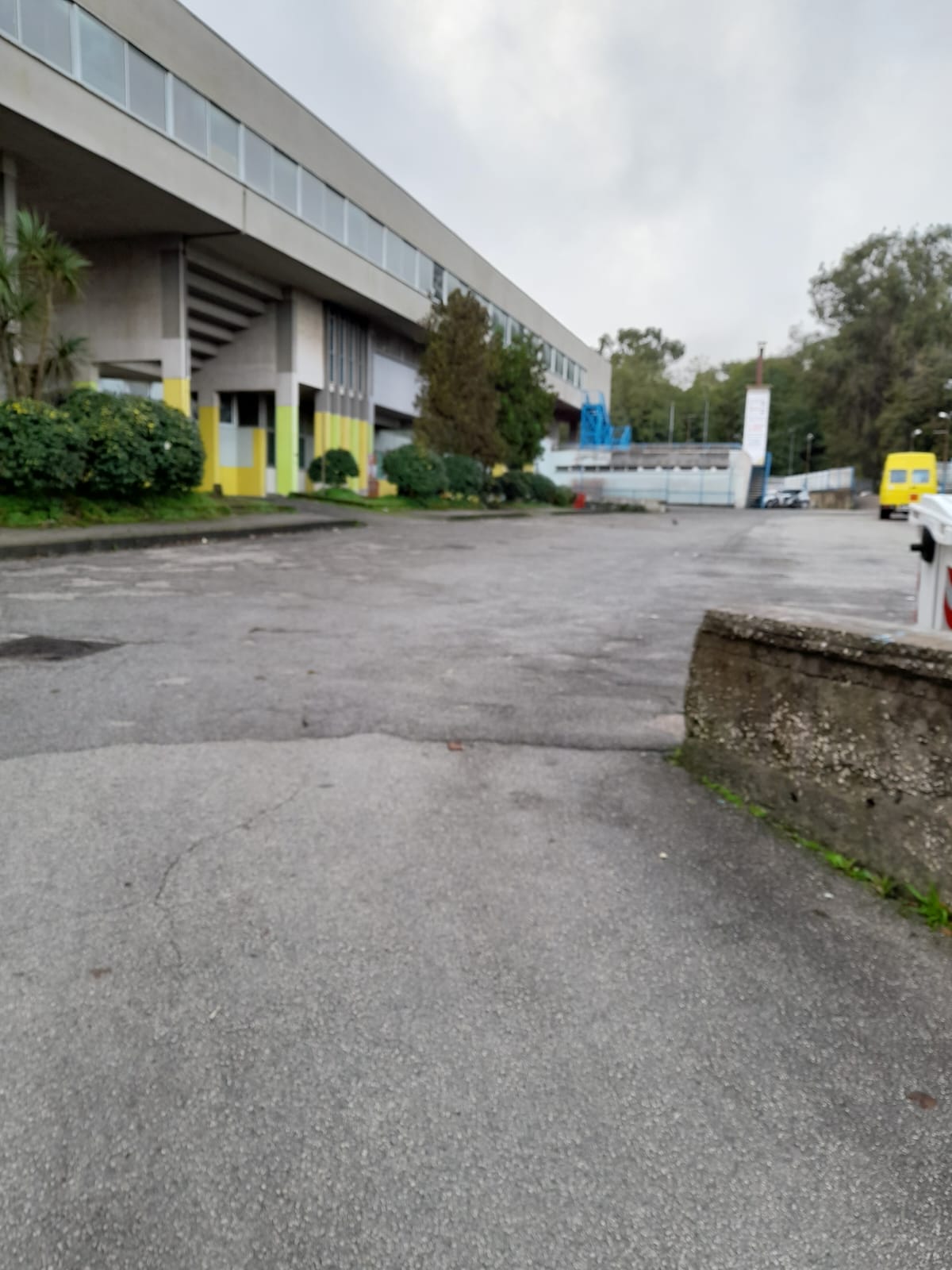 Napoli, topi nella scuola del Vomero: classi vuote e proteste dei genitori