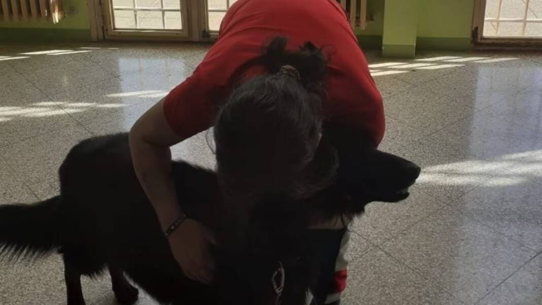 A Salerno detenuto in regime di alta sicurezza incontra il suo cane