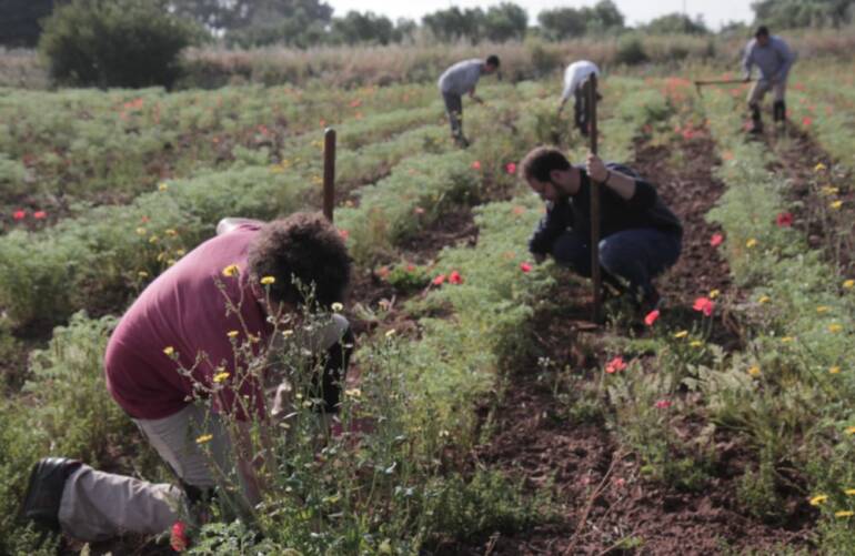 Fondazione con il Sud, 5 nuovi progetti per recuperare terreni