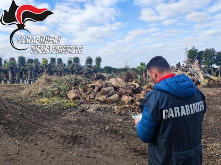 Succivo, sequestrato vivavio per illecita gestione di rifiuti speciali