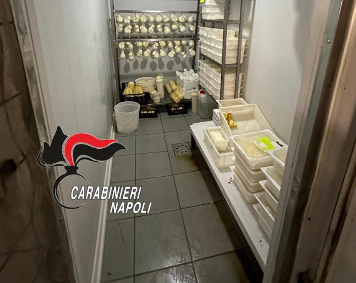 Scoperti 6 lavoratori irregolari in caseifici a Castellammare e Gragnano