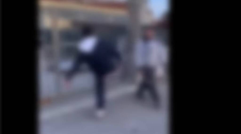 Calci e violenza ad un gatto , Borrelli segnala il video alle Forze dell’Ordine