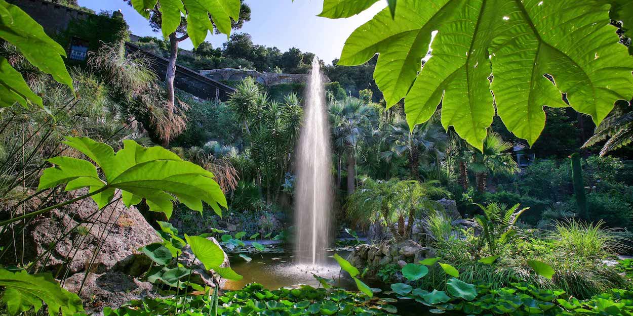 I Giardini La Mortella di Ischia ricevono l’approvazione della Royal Horticultural Society
