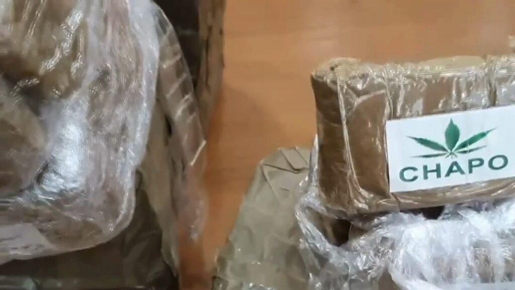 Napoli, la droga col marchio “Chapo” viaggiava su una finta ambulanza. Tutti i 32 indagati