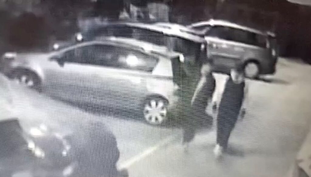Giugliano, ladri rubano auto da parco privato sotto l’occhio delle telecamere
