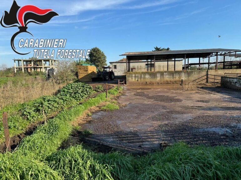 Sequestro di aree per illecito smaltimento di liquami zootecnici a Villa Literno