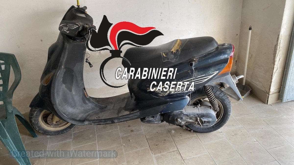aversa ladro