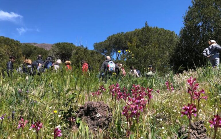 Eco escursione accessibile a tutti sul Vesuvio a Pasquetta 2024